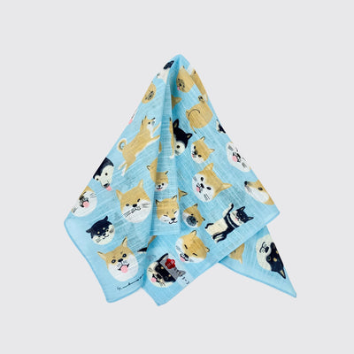 A light bandana - shiba pulled in the center and splayed.