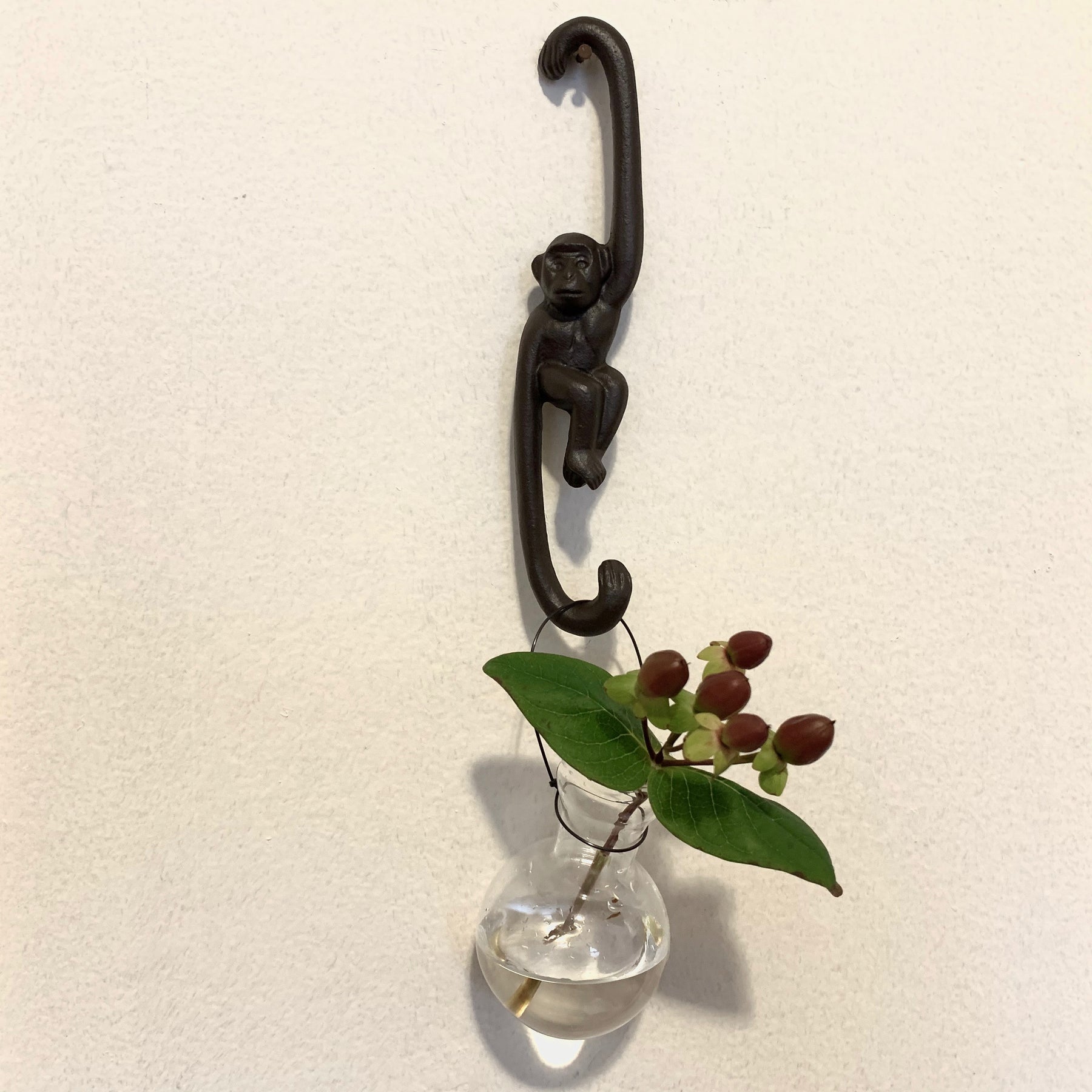 cast iron monkey plant hanger Cast Iron Monkey Hooks – ombrato