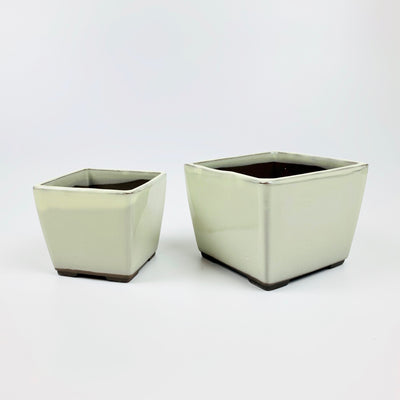 Glazed square bonsai pots: small pot on the left and large pot on the right.