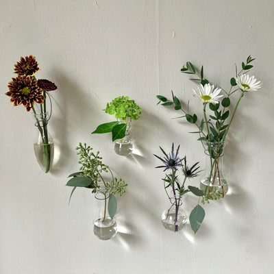 All 5 types of bulb vases with flower hung on a wall: (from left) vase E with dark red flower, vase A with a twig with light green fruits, vase B with green flower, vase C with purple flower, vase D with white flower.